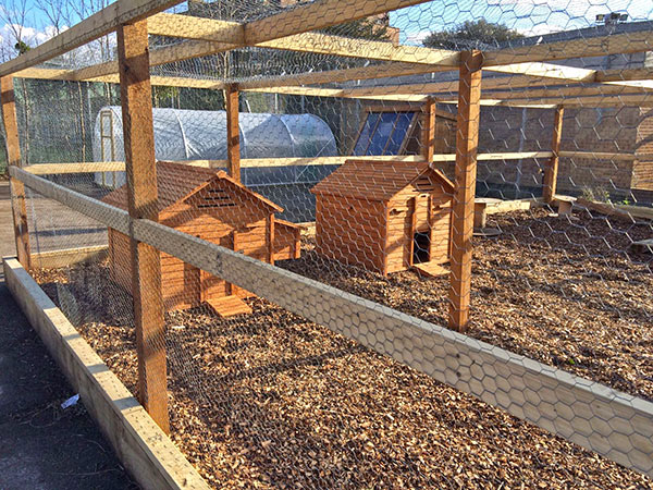 School farm - this is where the hens will live