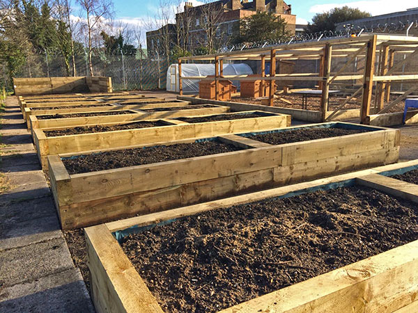 Close-up of the grow and learn planing boxes, part of the school farm