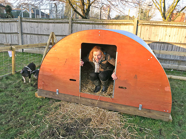 Teacher squats in Pigs Home